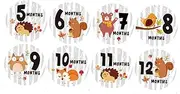 MERRYHAPY 12pcs Newborn Stickers Milestone Stickers Animal Patterns Self-Adhesive Round Shape for Photos for Shower