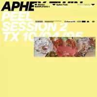在飛比找博客來優惠-Aphex Twin / Peel Session 2 (進