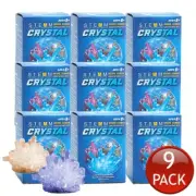 9 x STEM Crystal Growing Kit Science Kids DIY Educational Learning Crafts Toys