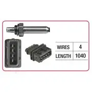 RAE Oxygen Sensor - OX671