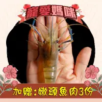 在飛比找台灣好農優惠-▸贈嫩頭肉◂(2盒組)極品紅頭母蝦 (約14~16隻/盒)#