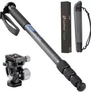 【Leofoto USA】 Leofoto MP-284C+VH-10S CF Monopod with VH-10S Two Way Tilt Head