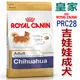 宅貓購☆法國皇家CHA【PRC28】吉娃娃成犬 1.5公斤