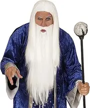 "WIZARD WIG & BEARD" in polybag -