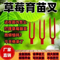 在飛比找蝦皮購物優惠-草莓育苗叉草莓叉草莓苗固定叉子塑料叉子藤蔓固定器農用壓枝神器