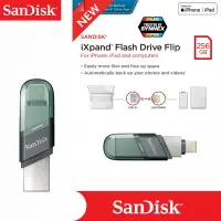 在飛比找樂天市場購物網優惠-【eYe攝影】現貨 公司貨 SANDISK iXpand 6