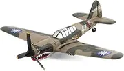 Rage RC A1305 Curtiss P-40 Warhawk Micro Rtf Airplane W/Pass