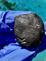 meteorite:El Menia:Weight 16.824grams: One Of The Best!!! With Blue Fusion Crust
