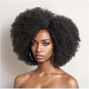 Afro Wigs for Black Women Kinky Curly Lace Front Wig Afro Short Bob Human Hair Wig 13x4x2 Lace Natural Hairline 250% Density