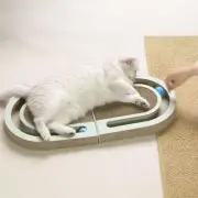 Cat Scratching Post Scratcher with Bed and Toy for Pet Owners