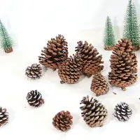 在飛比找樂天市場購物網優惠-北歐小松果木棉花頭圣誕節樹裝飾品服裝拍攝道具手工DIY干花材
