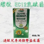 💥現貨 產品新上架 衝評價 最便宜💥潔敏-EC12乳酸菌 (札幌啤酒花) 膠囊 60粒/瓶 過敏兒救星 換季必備品