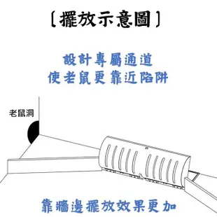 大老鼠專用 附超香餌 重複使用 捕鼠籠 老鼠夾 捕鼠神器 老鼠板 黏鼠板 滅鼠器 連續捕鼠 老鼠藥 (3.3折)