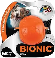 Super Ball Dog Toy, Medium, 6.7 cm Diameter