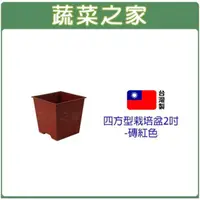 在飛比找momo購物網優惠-【蔬菜之家】四方型栽培盆2吋-磚紅色(花盆 塑膠花盆 蔬菜盆