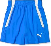 [PUMA] TEAMLIGA JR 705145 Soccer Shorts, Absorbent, Quick Drying, Kids