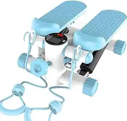 Stepper, Silent Stovepipe for Home use, Weight Loss Tool, Fitness Equipment, mini Multifunction Hydraulic Exercise Bike