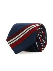 Valentino Garavani Embroidered Silk Tie
