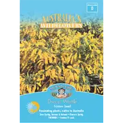 Mr Fothergill's Dwarf Wattle Flower Seeds