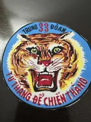 South Vietnam ARVN 33rd Infantry Regiment Patch