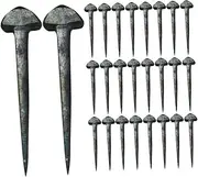 Kisangel 2sets High-Strength Horseshoe Nails Set for Horse Tack Mini Iron Horseshoe Nails Fixing Tool 50pcs*2