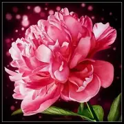 Chart Needlework DIY - Counted Cross Stitch Patterns-Blooming Peony