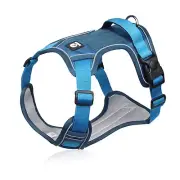 Dog Harness for Small Dogs No Pull with 2 Dog Leash Clips (Blue - Medium)