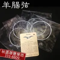 在飛比找蝦皮購物優惠-【小樂器】羊腸弦、烏克麗麗弦