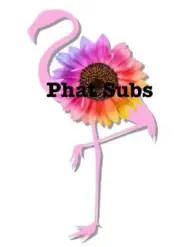 Sublimation Print Flamingo Sunflower Ready to Press Heat Transfer