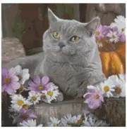 Cross Stitch Pattern Gracie Grey Kittens X Stitch Gwen St Designs