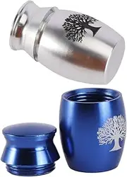 BESPORTBLE 2Pcs Small Keepsake Urns for Pet Ashes Fine Stainless Steel Cremation Urns Durable Memorial Ash Box for Cats Dogs Elegant Design for Cherishing Memories