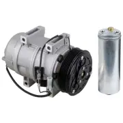 AC Compressor w/ A/C Drier For Volvo S60 V70 S60 S80 XC70 XC90 (for: Volvo)