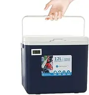 Insulated Cooler Box, 12l Car Organizer, Hot Cold Food Container, Ice Retention Basin, (12.4x9.06x10.04 Inches), Perfect For Picnic, Fishing, And Beverages Necessities
