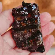 98g SERICHO pallasite Meteorite from Kenya