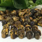 10pc Natural tiger's eye jasper Quartz hand Carved skull crystal Reiki healing