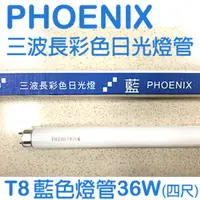 在飛比找PChome24h購物優惠-PHOENIX 鳳凰三波長彩色日光燈 (藍光) T8四尺直管