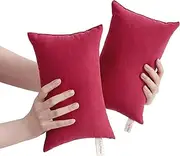 bedsum 2 Pack Tiny Pillows, 11''x7'' Microfiber Mini Pillows for Toddler, Travel, Dogs, Soft & Machine Washable Small with Excellent Resilience Neck, Wrist, Knee Support, Red (AUSBSMfZX-11X7-Red)