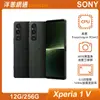 Sony Xperia 1 V (12G/256G)