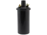 For 1933 Ford Model 40 Ignition Coil Wells 62481FCJM Ignition Coil (for: Ford)