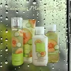 Bath and Body Works Cucumber Melon Bundle