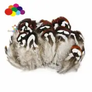 Coffee Pheasant DIY 5-10cm/2-4in Craft Unique Colorful Patterned Real Feathers