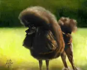✿ ORIGINAL Oil Portrait Painting BLACK POODLE Artist Signed Artwork Puppy Dog