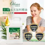 荳芽小舖 市價550$ 【OLIVIER奧莉薇】 茶樹&尤加利精油護理洗衣精 4000ML