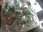 West elm Felt Holly Felted Leaf garland wool 6' Christmas 60" New w tag