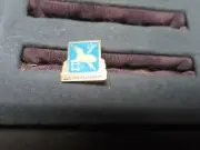 US Military Intelligence Always Out Front Pin COV11