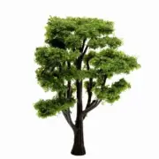 Enhance Your Architectural Scenery with 10pcs of High Quality Model Trees