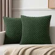 Kevin Textile Luxurious Solid Shiny Short Plush Velvet Decorative Throw Pillowcase Cushion Cover, 2 Pcs, 18x18inch, Dark Green