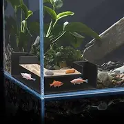 Shrimp Cave Aquarium Decor, Shrimp Hides for Aquarium Cave, Fish Tank Hideout, Fish Tunnel for Aquarium, Fish Cave for Aquarium, Shrimp Tank Accessories, Shrimp Breeding Cave, Shrimp Tunnel Aquarium
