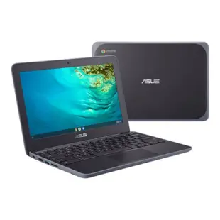 ASUS Chromebook C202X