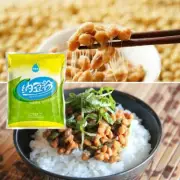 10g Natto Powder Agent Of Nattokinase DIY From Bacillus Natto Strain Food Hot~